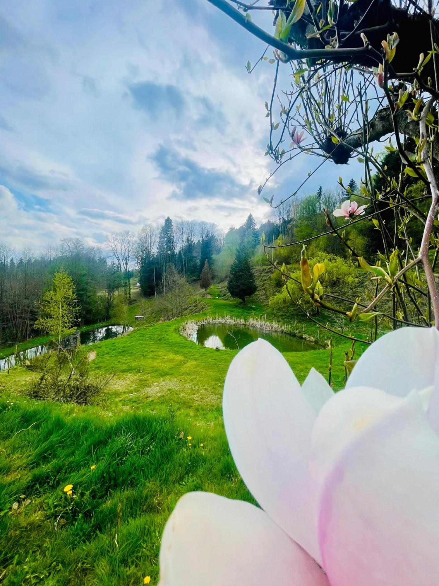 La Belle Charbonniere Otel La Grande Fosse Dış mekan fotoğraf